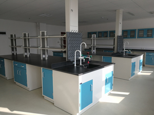 醫(yī)療行業(yè)實(shí)驗(yàn)室家具案例