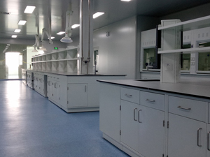 藥品行業(yè)實(shí)驗(yàn)室家具案例