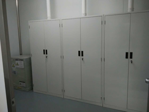 全鋼排風(fēng)型試劑柜