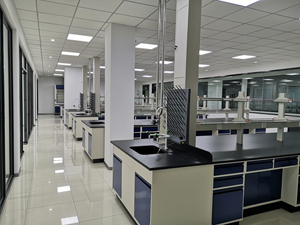 全鋼結(jié)構(gòu)實驗室工作臺