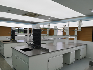 化妝品行業(yè)實驗室家具案例