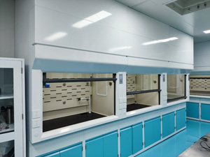 全鋼臺(tái)式通風(fēng)柜